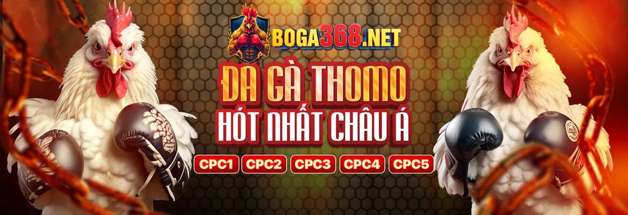 Cách bet20 đảm bảo tuân thủ GDPR với các biện pháp bảo mật tiên tiến